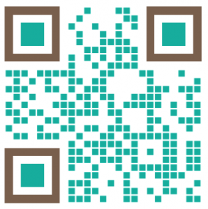 Debt Success - QR Code PNG